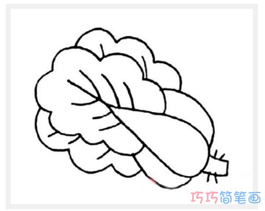 简易卡通大白菜怎么画_大白菜简笔画图片