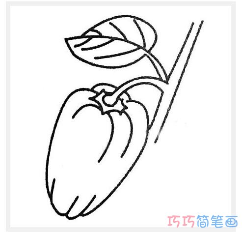 青椒苗和青椒要怎么画简洁好画_青椒简笔画图片