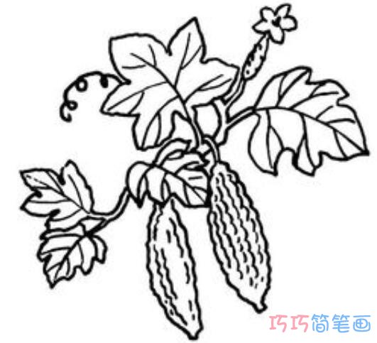 简单实用儿童卡通苦瓜怎么画好看_苦瓜简笔画图片