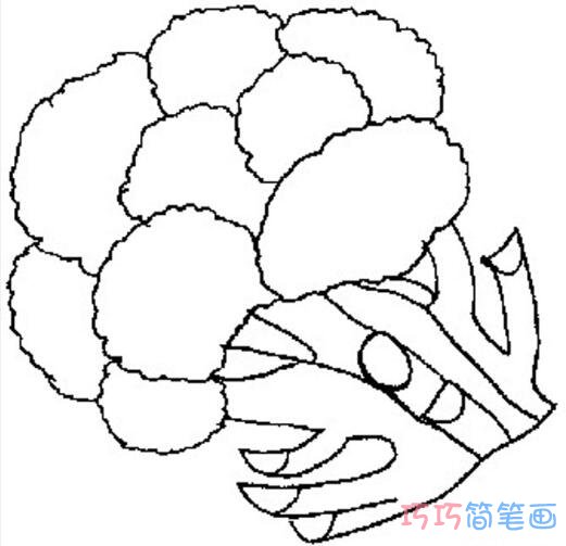 超实用儿童卡通花菜简单画法_花菜简笔画图片