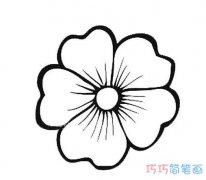 小花花瓣怎么画简单好看_花瓣简笔画图片