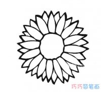 雏菊花瓣怎么画简单又漂亮_花瓣简笔画图片