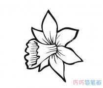 星星花瓣的画法简单漂亮_花瓣简笔画图片