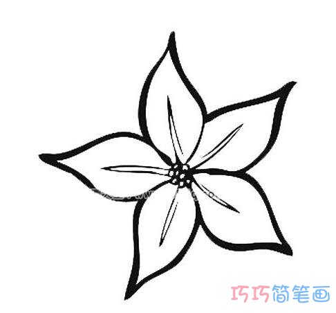 星星花瓣怎么画好看_花瓣简笔画图片