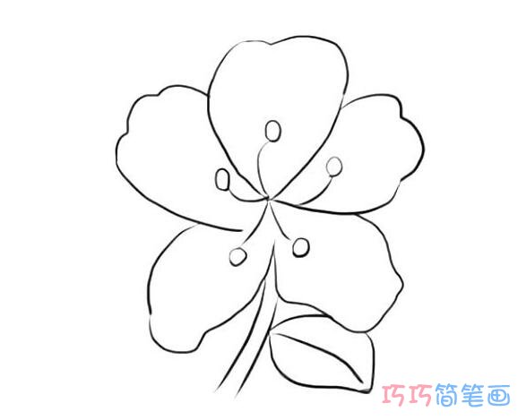 杜鹃花要怎么画好看简洁_杜鹃花简笔画图片