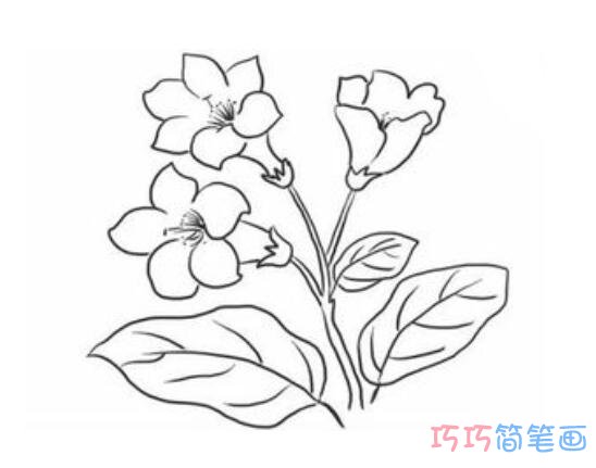 杜鹃花要怎么画好看简洁_杜鹃花简笔画图片