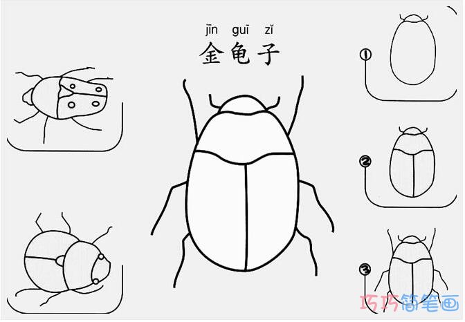 金龟子怎么画简单_带步骤图金龟子简笔画图片