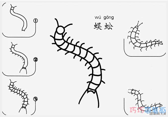 蜈蚣怎么画简洁好画_带步骤蜈蚣简笔画图片