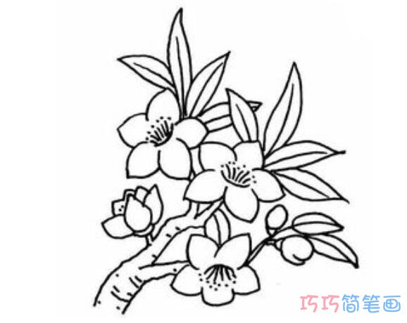 桃花怎么画好看_桃花简笔画图片