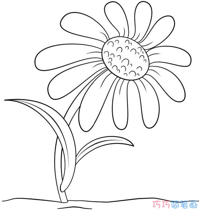 简单又漂亮菊花的画法素描