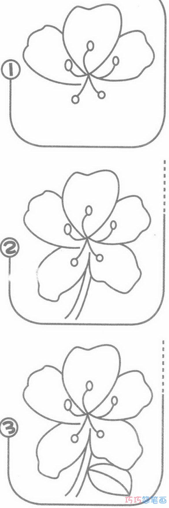 杜鹃花怎么画简单易学_带步骤图杜鹃花简笔画图片