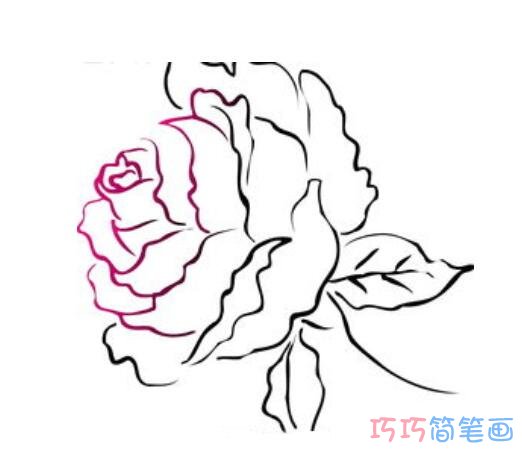 牡丹花怎么画简单好看_牡丹花简笔画图片