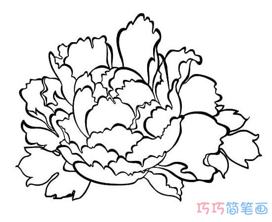 牡丹花怎么画简单好看_牡丹花简笔画图片