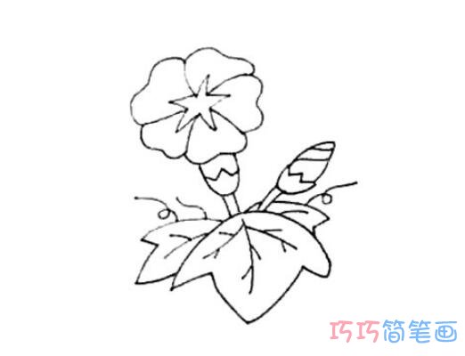 牵牛花怎么画好看_彩色牵牛花简笔画图片