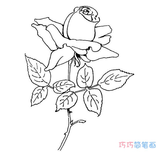 玫瑰花怎么画好看_玫瑰花简笔画图片