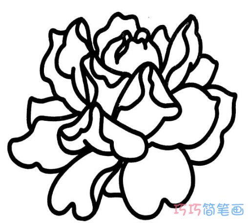 牡丹花怎么画逼真好看_牡丹花简笔画图片