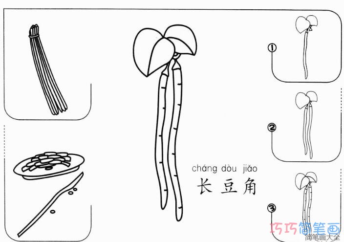 长豆角怎么画好看逼真_带步骤图长豆角简笔画图片