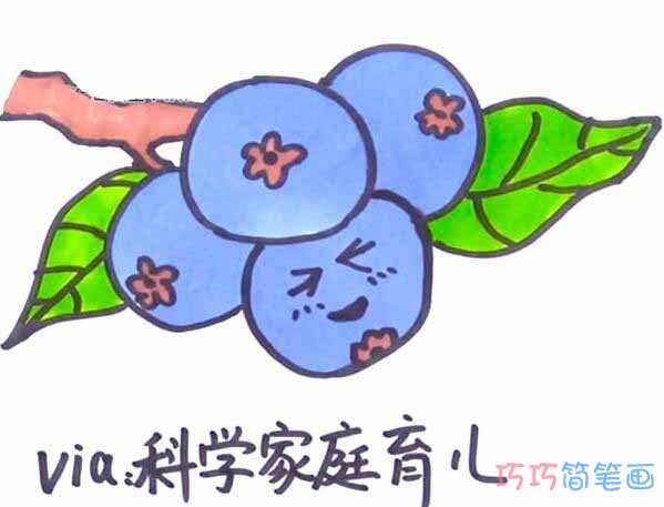 卡通蓝莓怎么画简单_彩色蓝莓简笔画图片