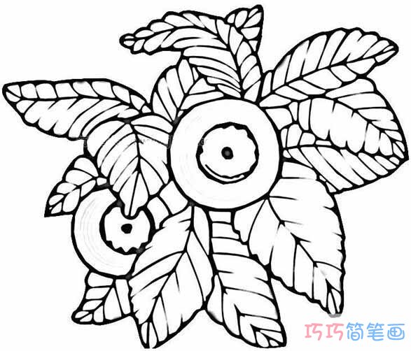 卡通蓝莓怎么画简单_彩色蓝莓简笔画图片