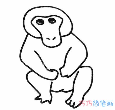 狒狒怎么画简洁好看_狒狒简笔画图片