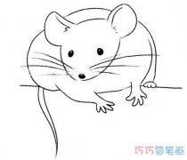 小老鼠素描简单画法可爱易学_卡通小老鼠简笔画图片