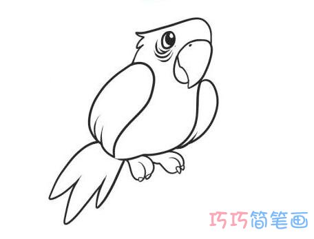 鹦鹉最简单画法图片
