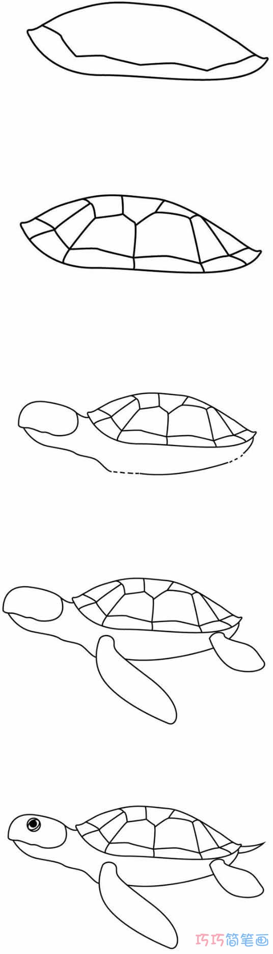 海龟怎么画可爱易学 带步骤图海龟简笔画图片