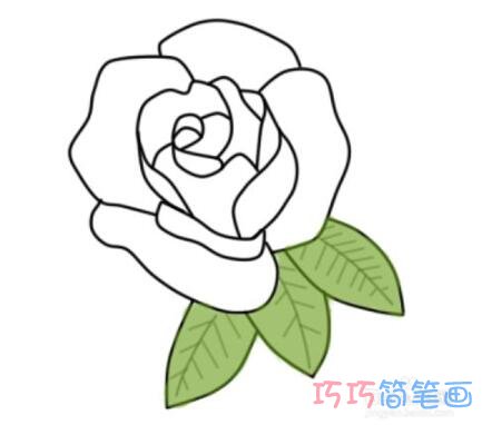  栀子花怎么画简笔画教程涂色淡雅美丽