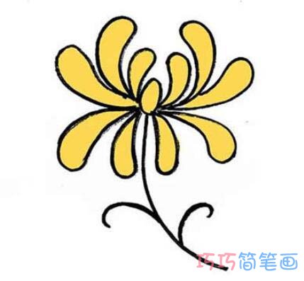 怎样画菊花简笔画带步骤图涂颜色