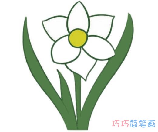 水仙花的画法步骤图带颜色 水仙花简笔画图片