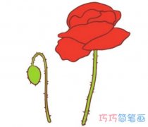 虞美人的画法步骤图带颜色 虞美人简笔画图片