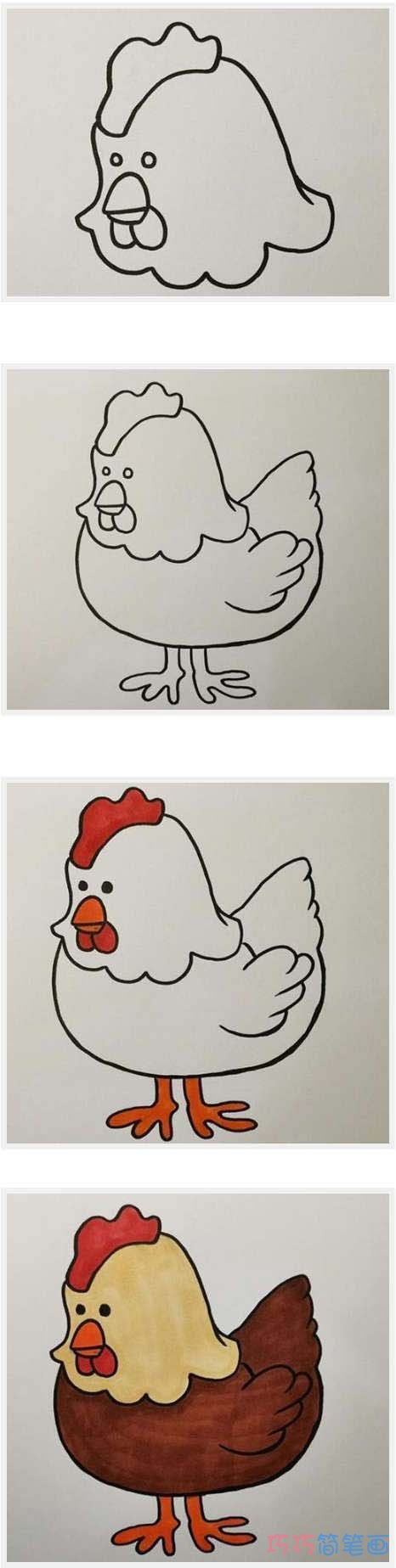 公鸡母鸡简笔画彩色图片