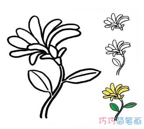 简单漂亮菊花简笔画怎么画涂颜色