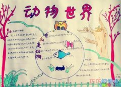 小学生关于动物世界 快乐数手抄报怎么画简单漂亮