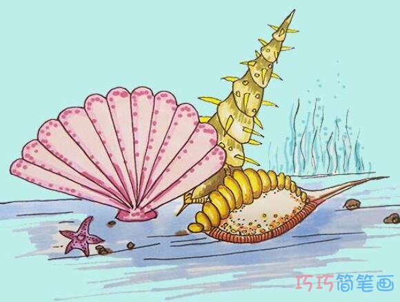 大海和贝壳的简笔画图片