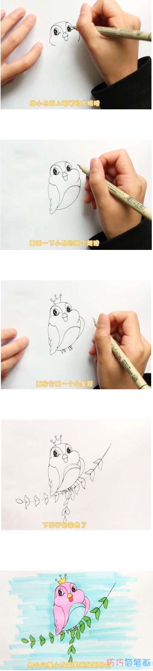 教你一步一步绘画小鸟简笔画涂色简单好看