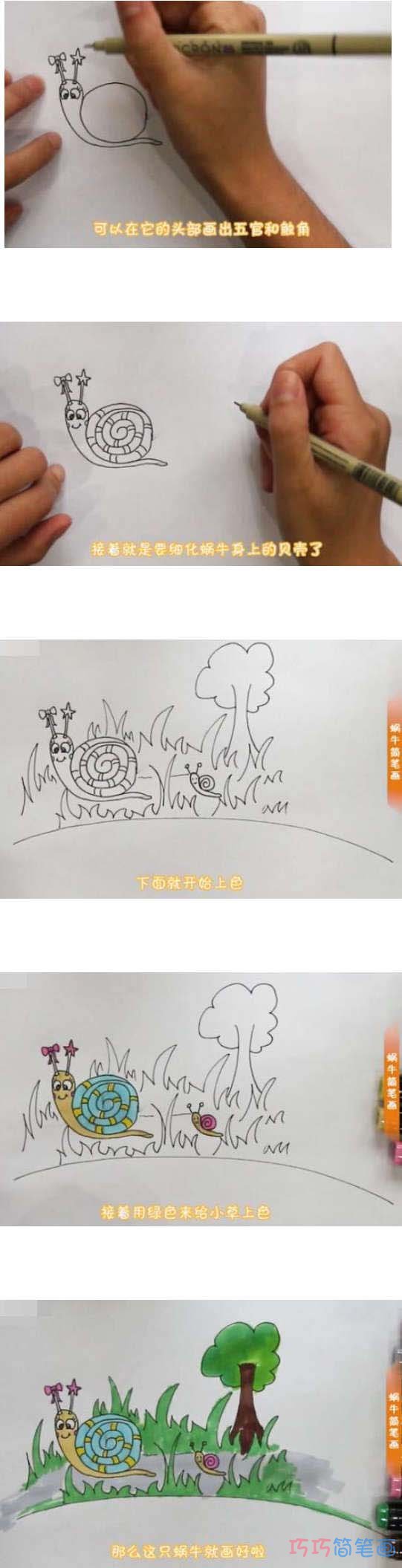 教你如何画蜗牛简笔画步骤教程涂颜色