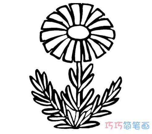 教你怎么画彩色雏菊的画法简笔画教程