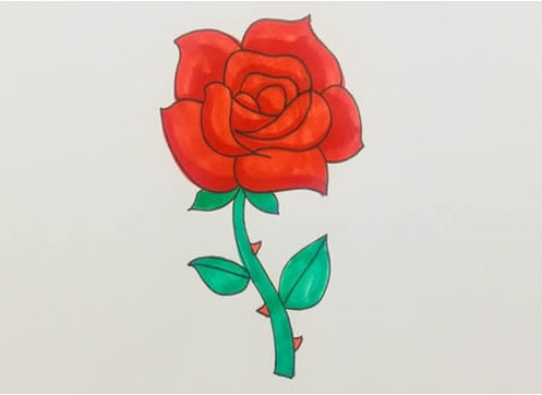 简单易学的玫瑰花画法图片